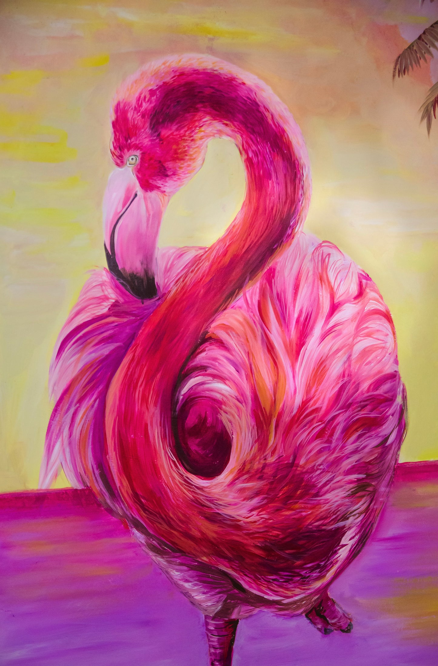 Flamingos