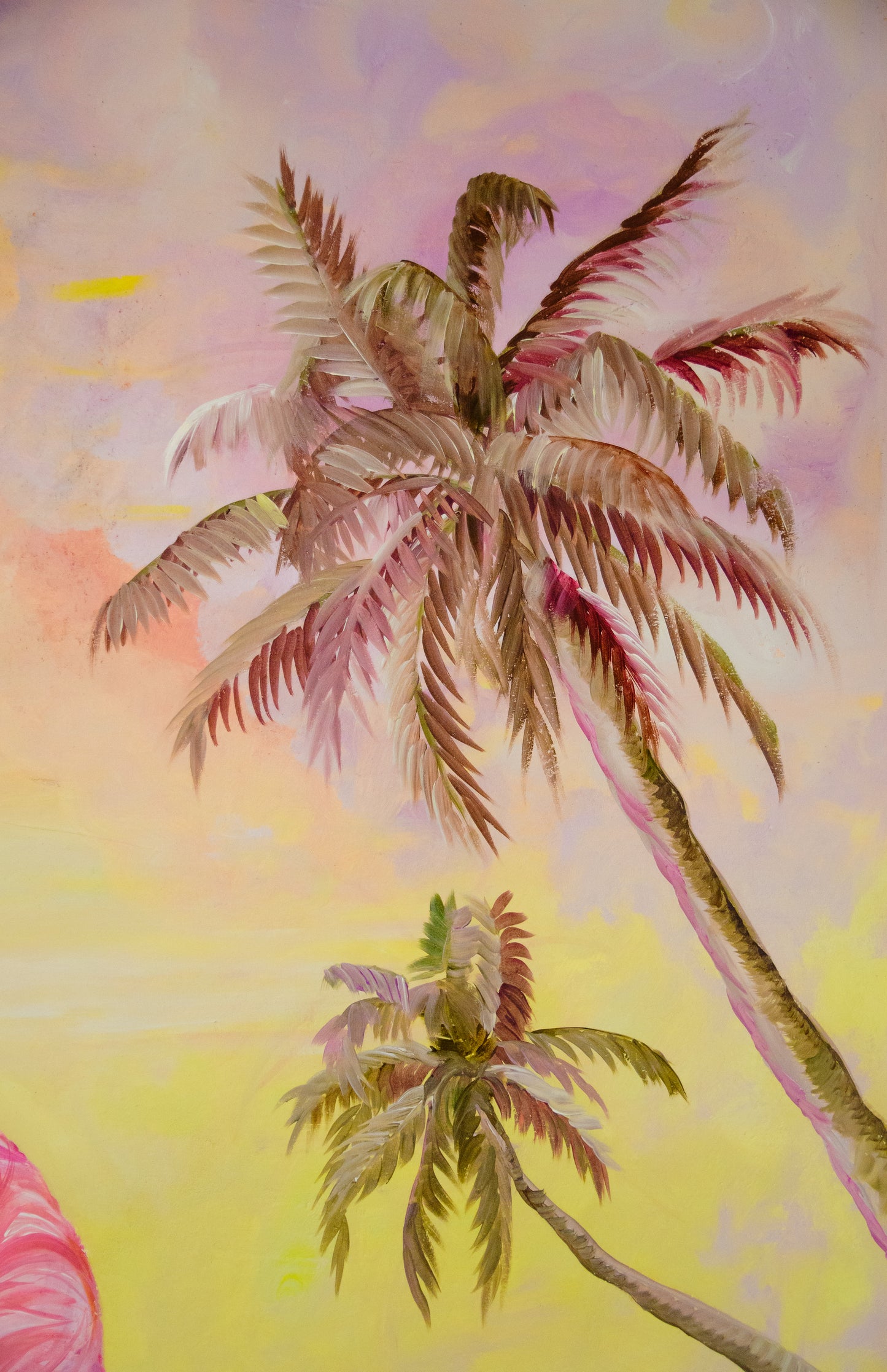 Flamingos
