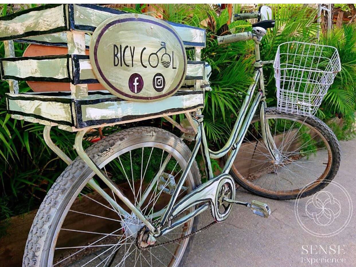 Bicycles
