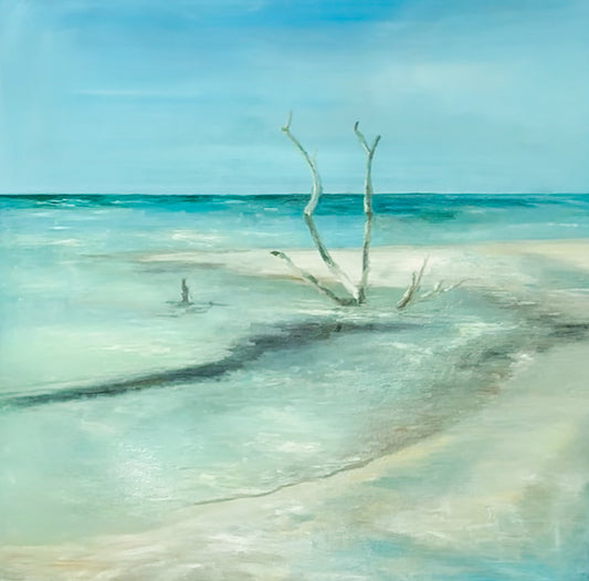 Holbox Part II