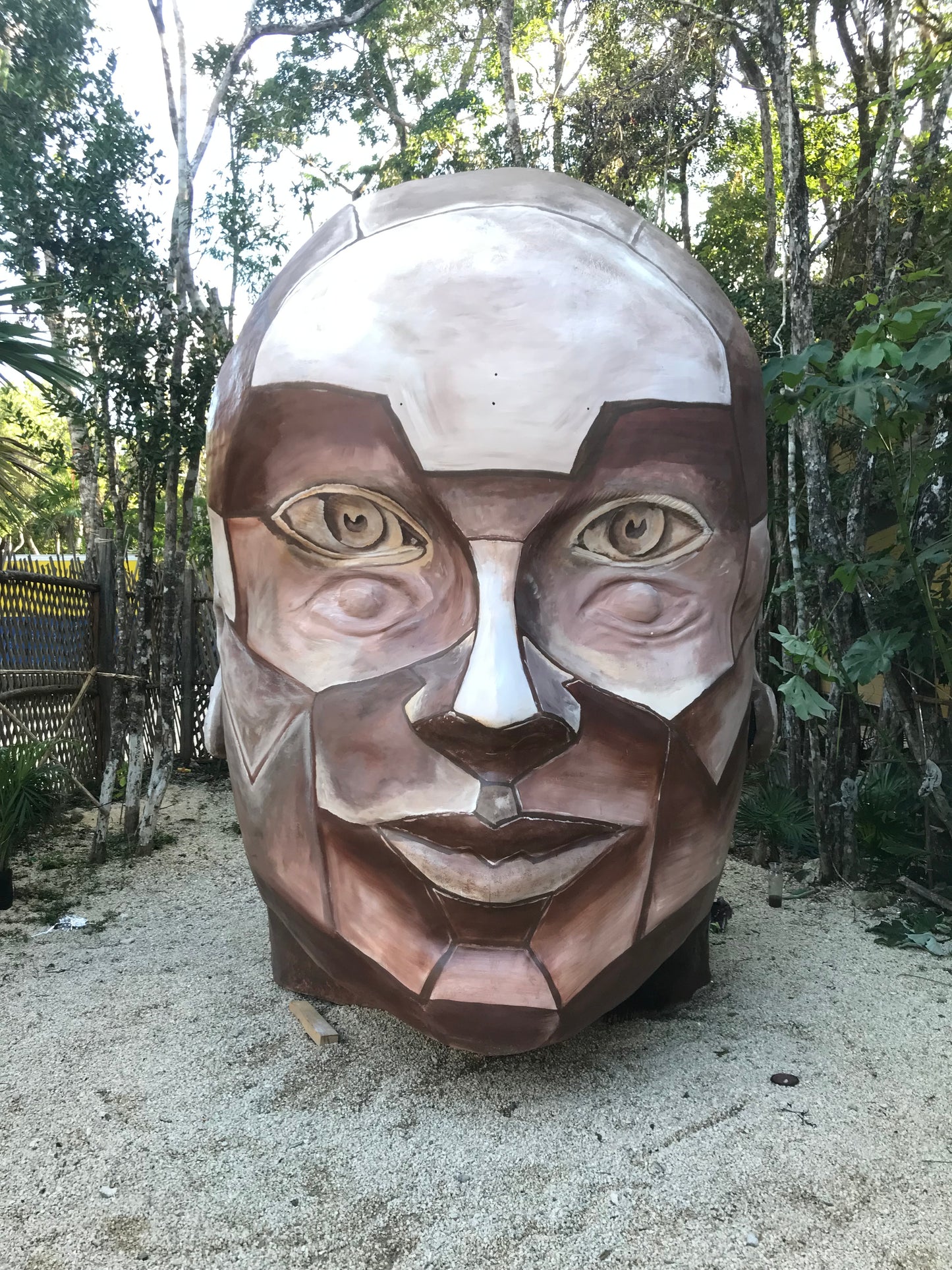 Head